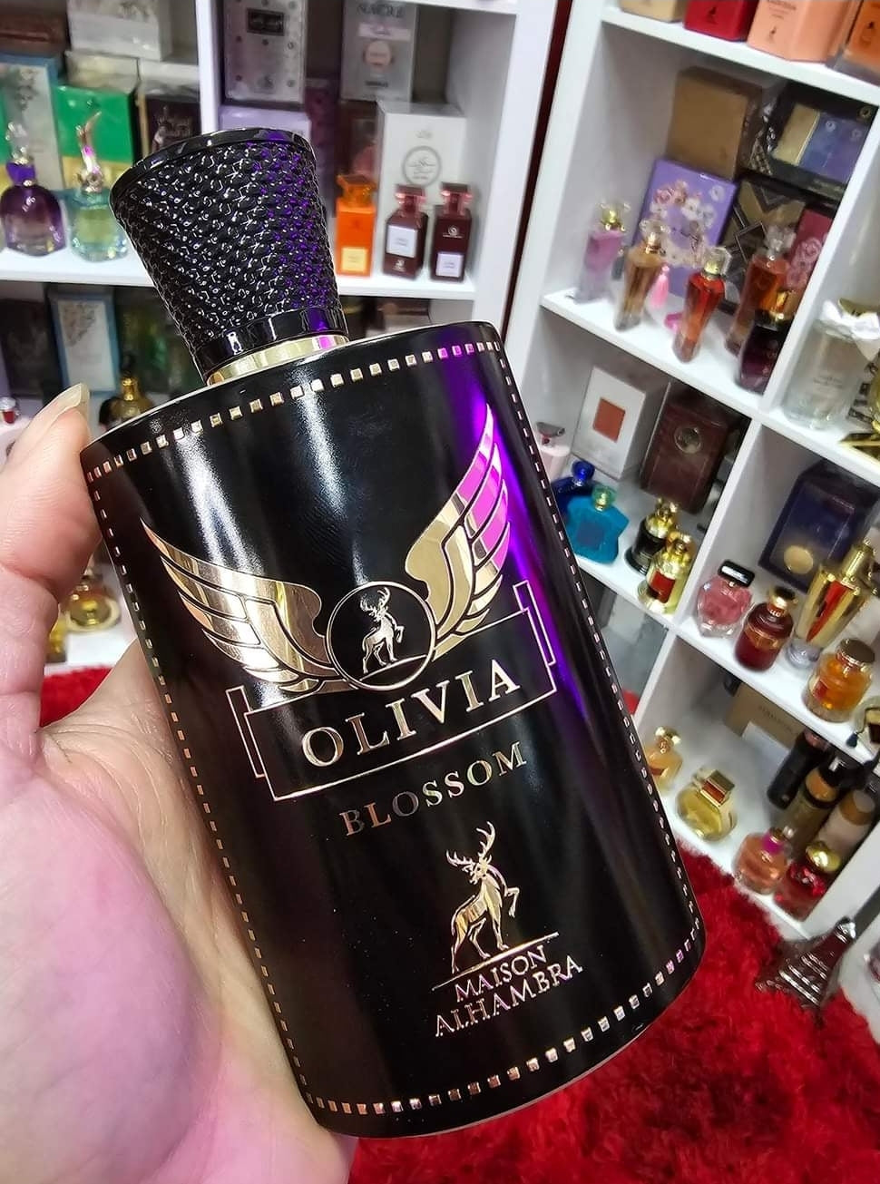 OLIVIA...Maison Alhambra